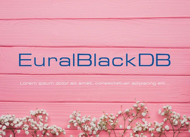 EuralBlackDB example