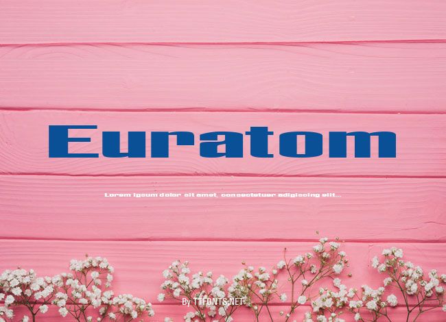 Euratom example