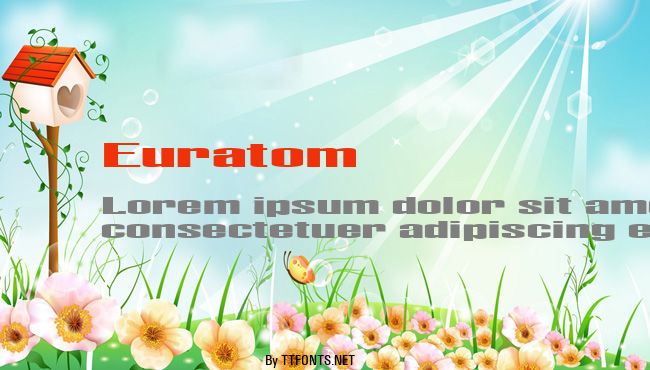 Euratom example