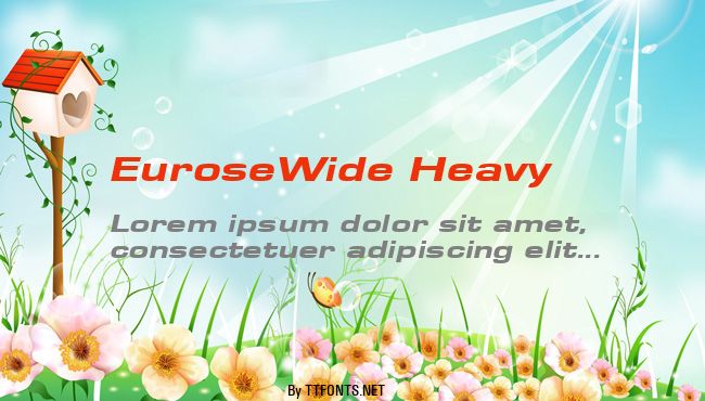 EuroseWide Heavy example