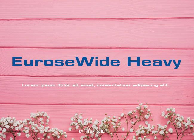 EuroseWide Heavy example