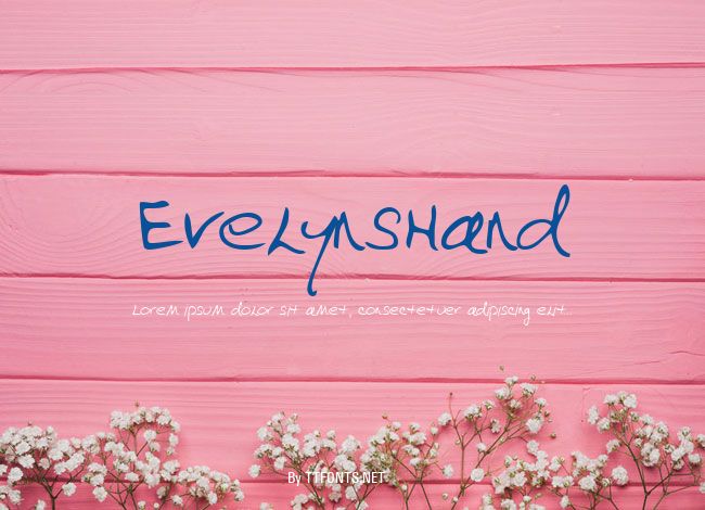EvelynsHand example
