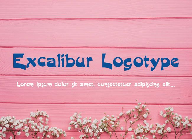 Excalibur Logotype example