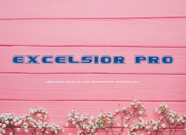 Excelsior Pro example