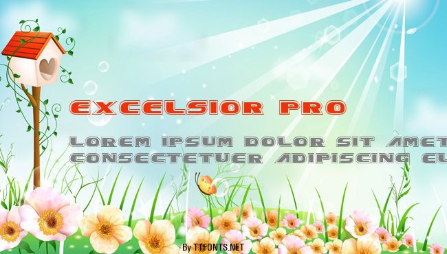 Excelsior Pro example