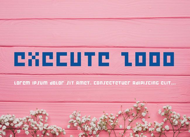Execute 2000 example