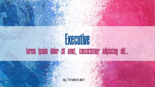 Executive example