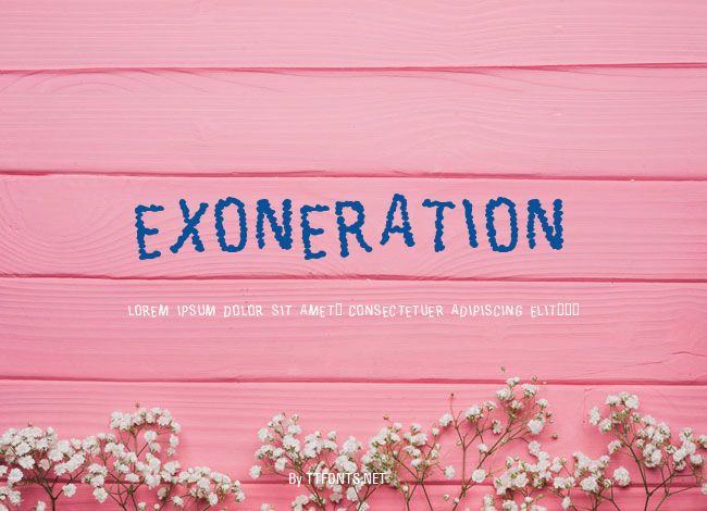 Exoneration example