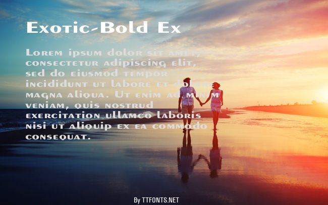 Exotic-Bold Ex example