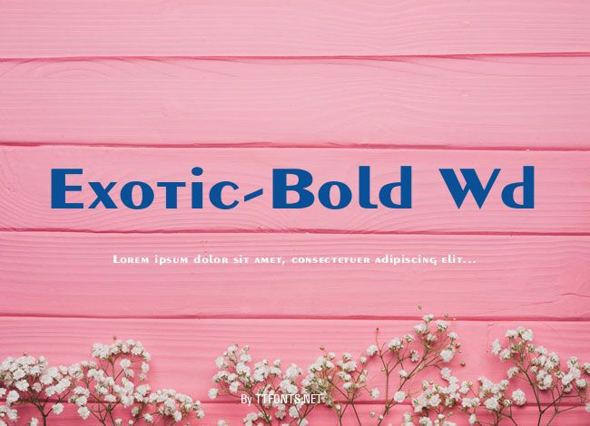 Exotic-Bold Wd example