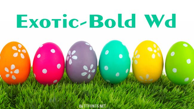 Exotic-Bold Wd example