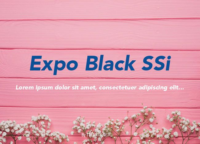 Expo Black SSi example