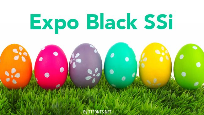 Expo Black SSi example
