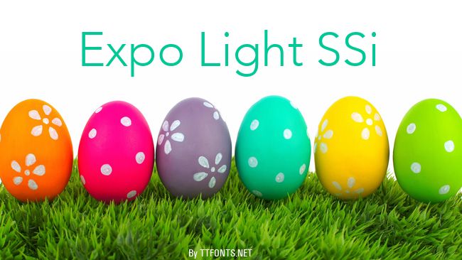 Expo Light SSi example