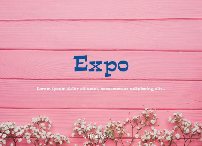 Expo example