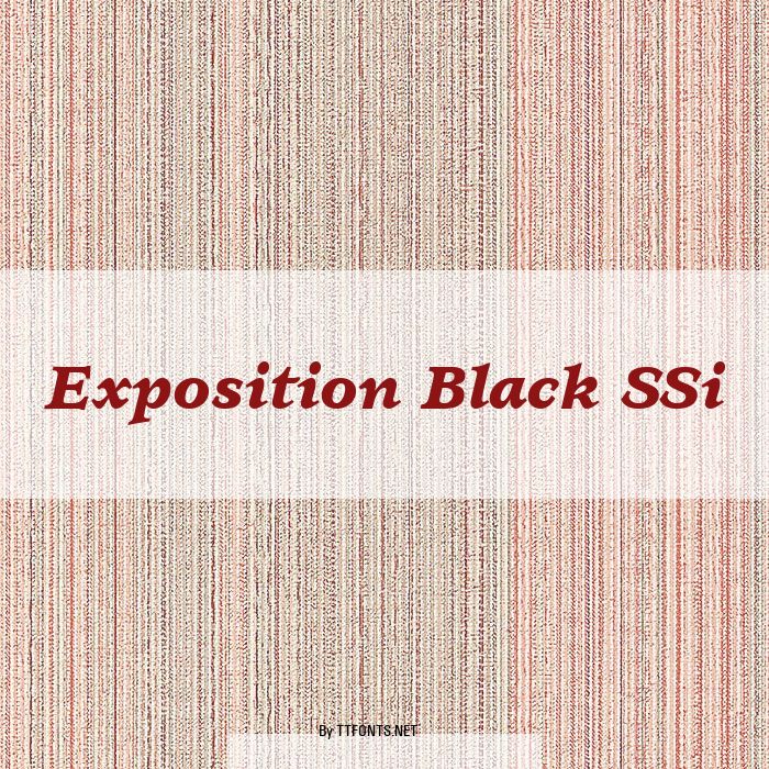 Exposition Black SSi example