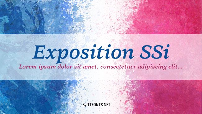 Exposition SSi example