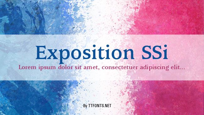 Exposition SSi example
