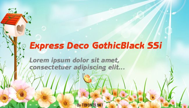 Express Deco GothicBlack SSi example
