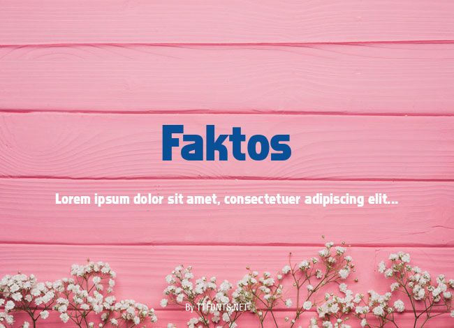 Faktos example