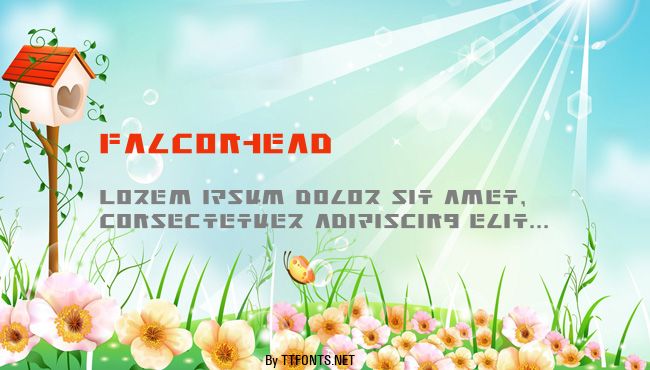 Falconhead example