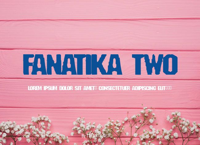 Fanatika Two example