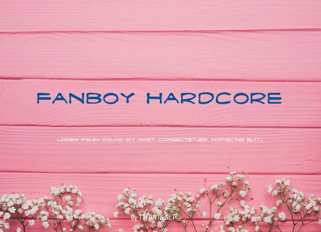 Fanboy Hardcore example