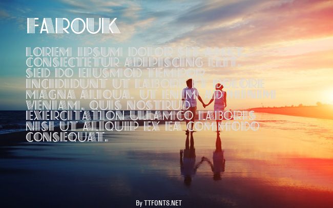 Farouk example