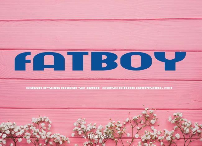 fatboy example
