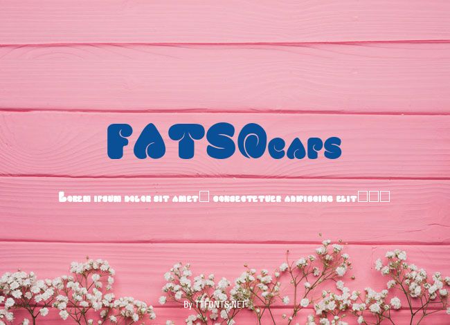 FATSOcaps example