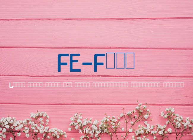 FE-Font example