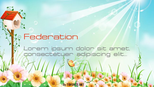 Federation example