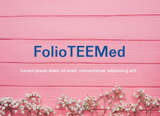FolioTEEMed example