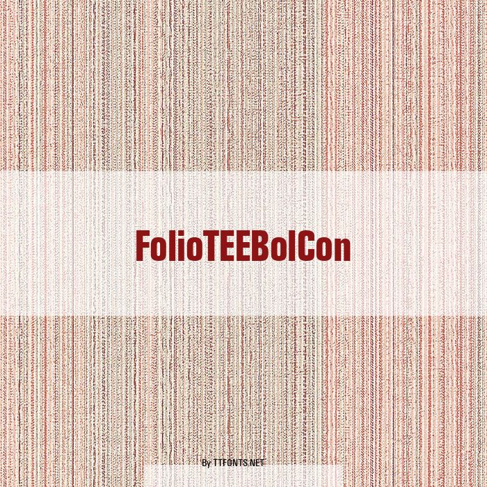 FolioTEEBolCon example