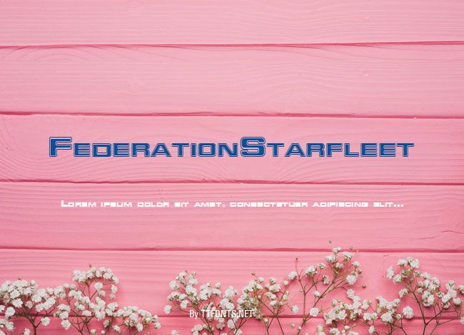 FederationStarfleet example
