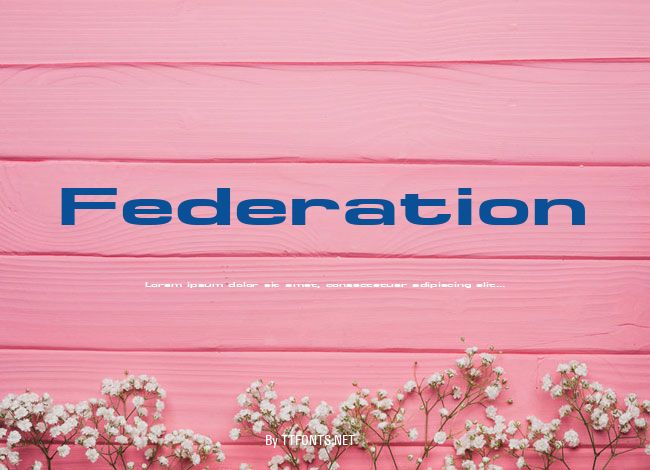 Federation example