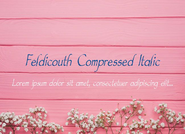 Feldicouth Compressed Italic example