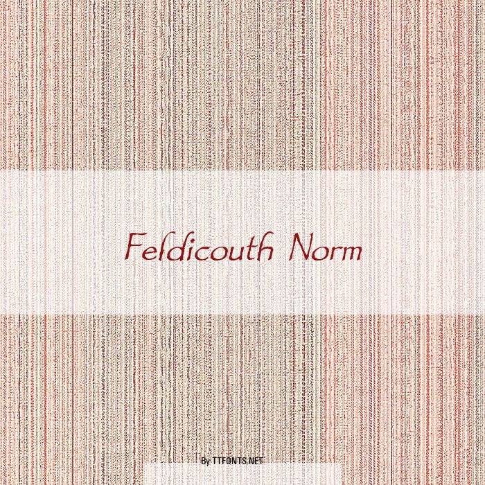 Feldicouth Norm example