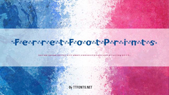 FerretFootPrints example