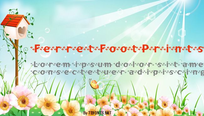 FerretFootPrints example