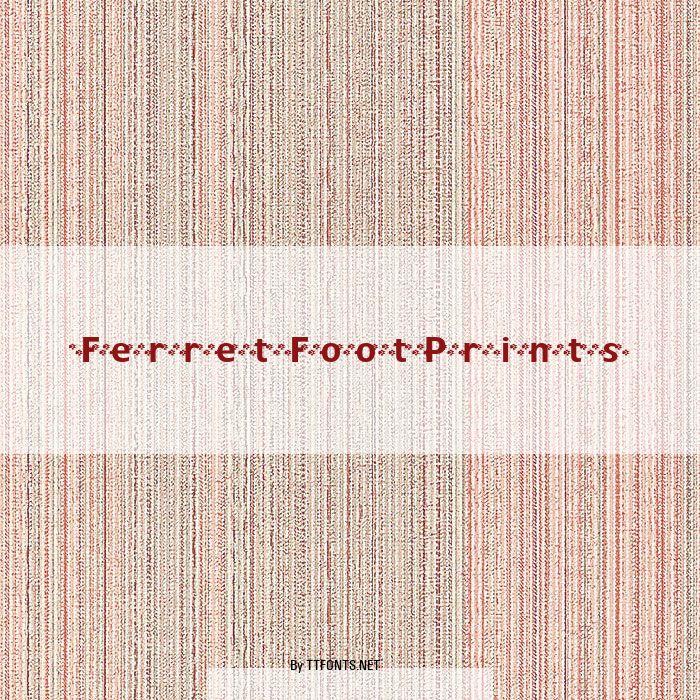 FerretFootPrints example