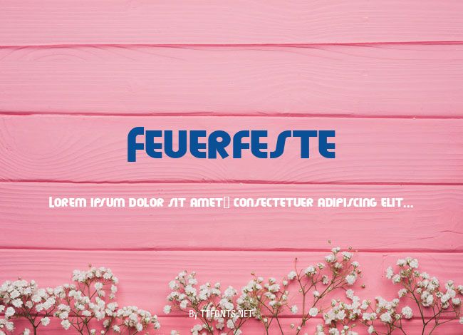 Feuerfeste example