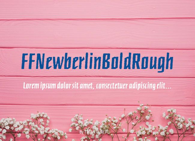 FFNewberlinBoldRough example