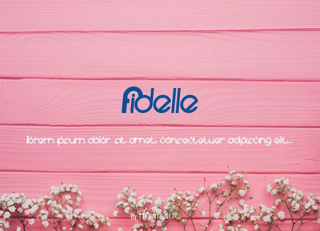 Fidelle example