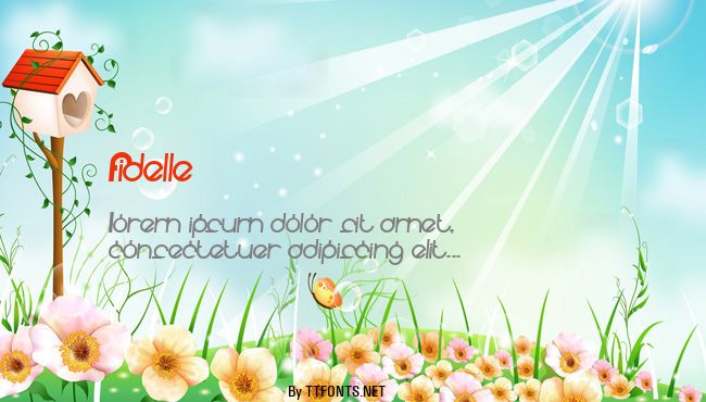 Fidelle example