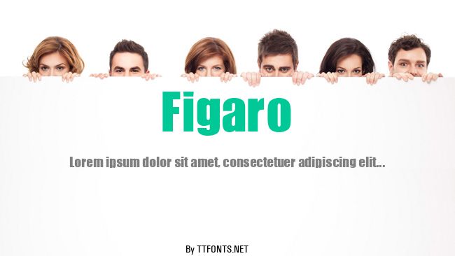 Figaro example