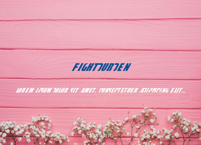 fightDurden example