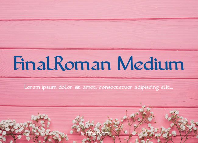 FinalRoman Medium example