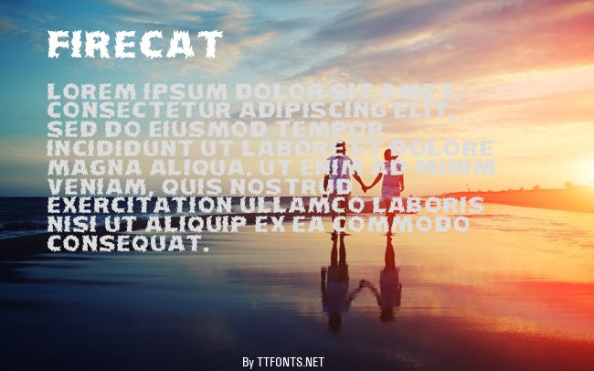 Firecat example