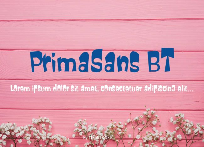 PrimaSans BT example